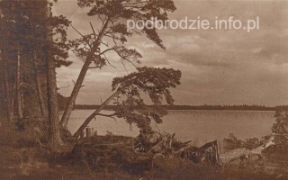 Jezioro_Blado-przed1939.jpg